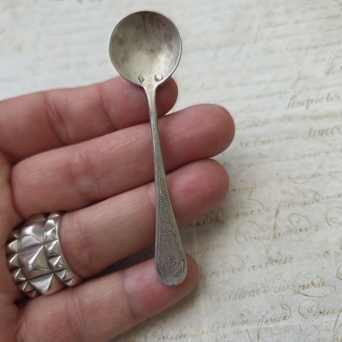 Cuillere pelle sel argent - cuillere,