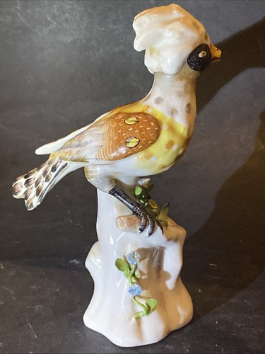 Oiseau huppé porcelaine - , de