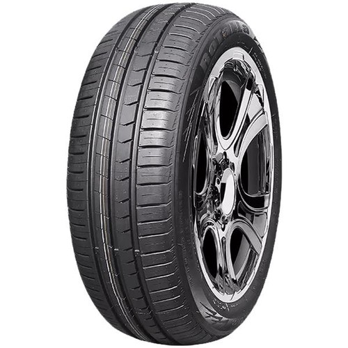 Rotalla setula race rh02 - 4x,