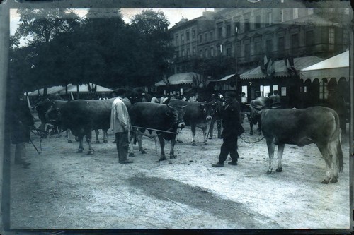 Bordeaux plaque photo - photo, 15