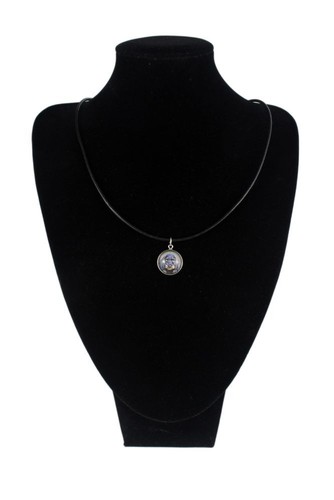Teckel poil dur collier - teckel,