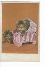 ILLUSTRATION  CHATS CHATONS