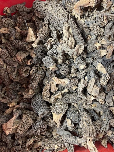 Morilles 400 g - morilles, pieds