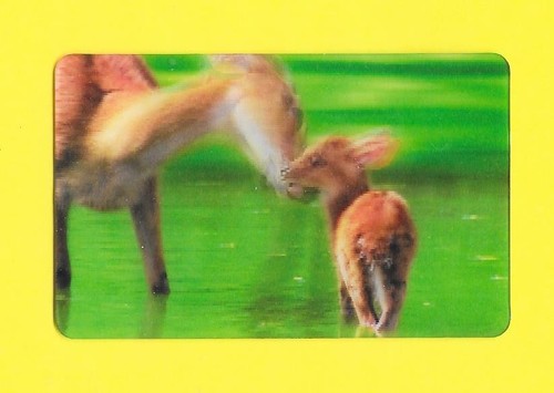 Carte cora match n 01 - cora,