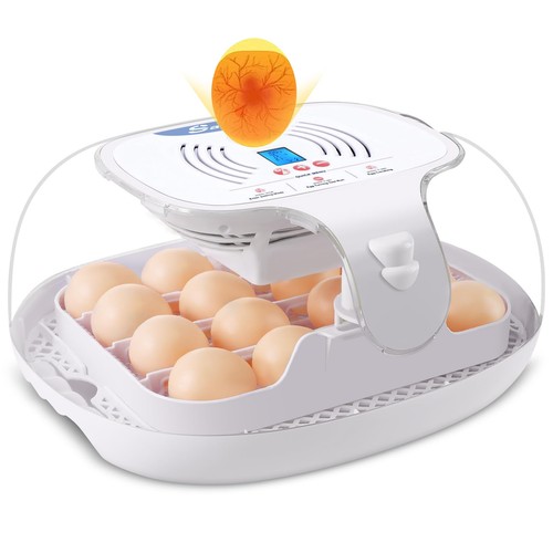 Couveuse oeuf automatique - 16,