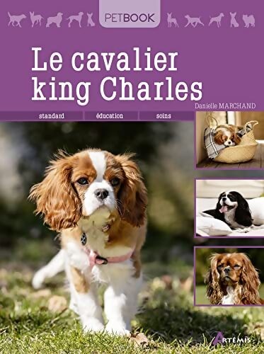 Cavalier king charles - charles,