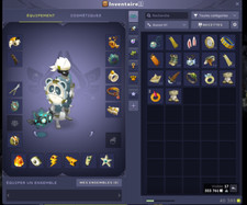 Compte dofus Huper 209 + autre