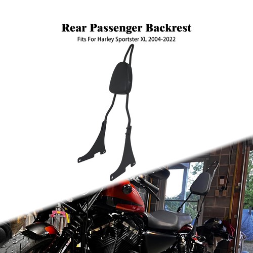 Motorcycle sissy bar passenger - sissy,