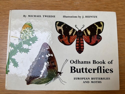 Odhams book butterflies - odhams,