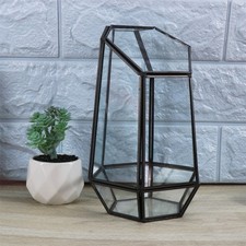  Terrarium géométrique en