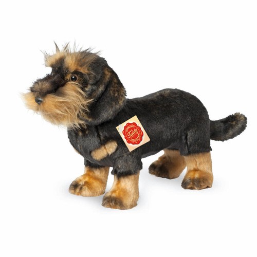 Teddy hermann teckel poil - teddy,