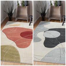 Tapis Salon Moderne À Poils