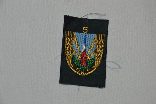 Insigne chantier jeunesse - insigne,