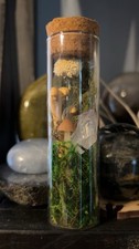 Handcrafted Moss Mushroom
