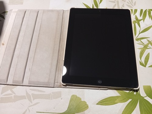 Apple ipad - apple, go