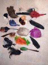 16 APPLICATION ANCIENNE PLUME