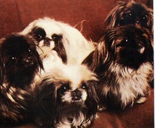 MONACO FEUILLET PHILATÉLIQUE