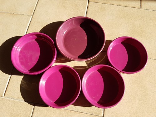 Lot soucoupes pot de - lot,