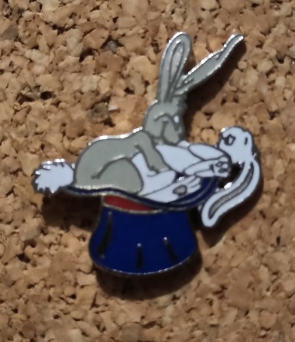 Pin lapins coquins humour - coquins,
