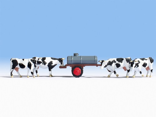 Noch vaches avec tonne à - vaches,