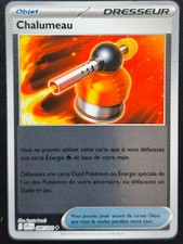 Carte Pokémon Chalumeau
