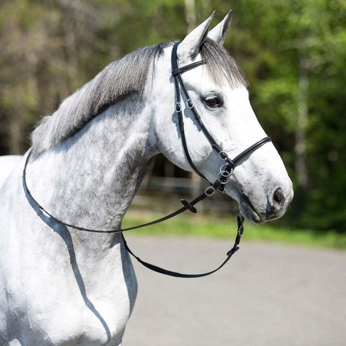 10081 horze bitless - bitless, new
