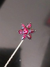 Epingle Pic A Chapeau Grenats