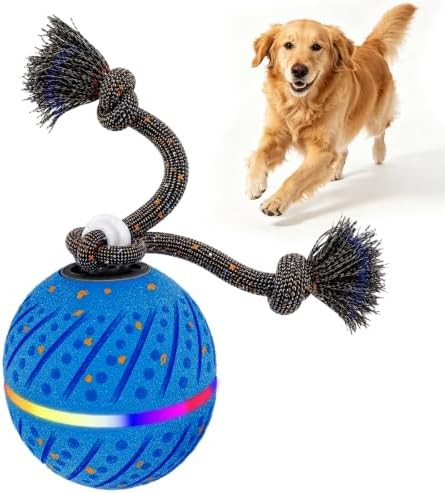 Balle chien jouet interactif - jouet,