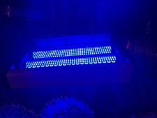 Lampe UV Ultra Violet contre