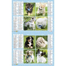 Calendrier de La Poste 2026, Almanach du facteur 2026, chiots
