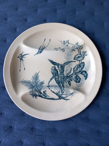 Assiette compartimentée - , en