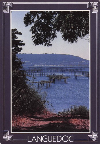 Sete etang thau - sete,