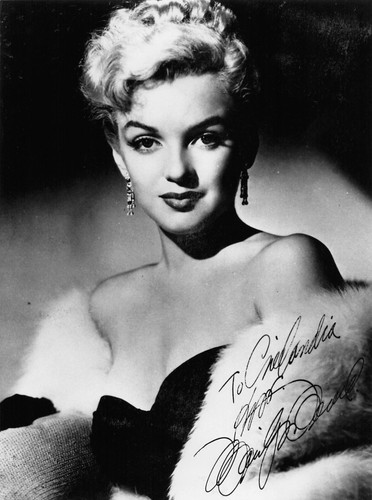 Marilyn monroe photo - ,
