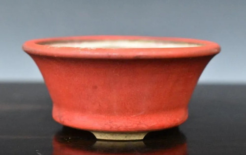 Pot bonsaï japonais tenryu - bonsaï,