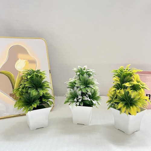 Plante pot feuille coco - plante,