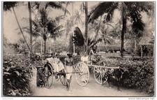 INDE - type de pousse-pousse