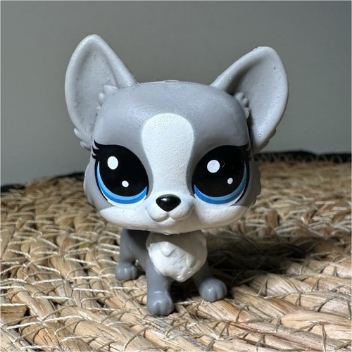 Lps petshop chien - chien, gris