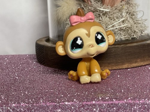 Petshop singe capucin - 🌸petshop,