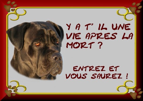 Plaque garde cane corso - garde,