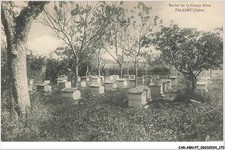 CAR-ABNP7-0681-38 - PALADRU -