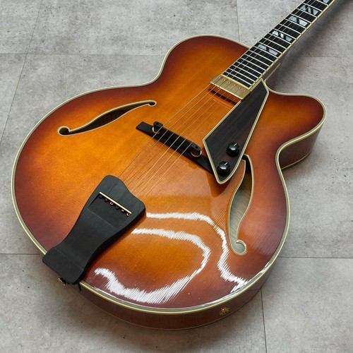 Aria pro 2100 avec - fa-2100, étui