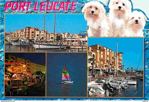 Carte postale animaux - postale,