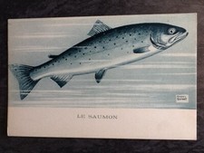 ILLUSTRATED CP SIGNED RAOUL GUINOT LE SALMON - FISH - 51480