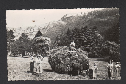 Cousance attelage bovins - (39),