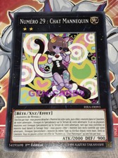 Carte YU GI OH NUMERO 29 