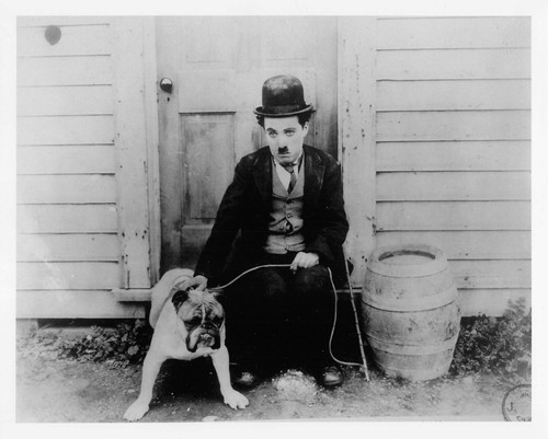 Charlie chaplin photo - ,