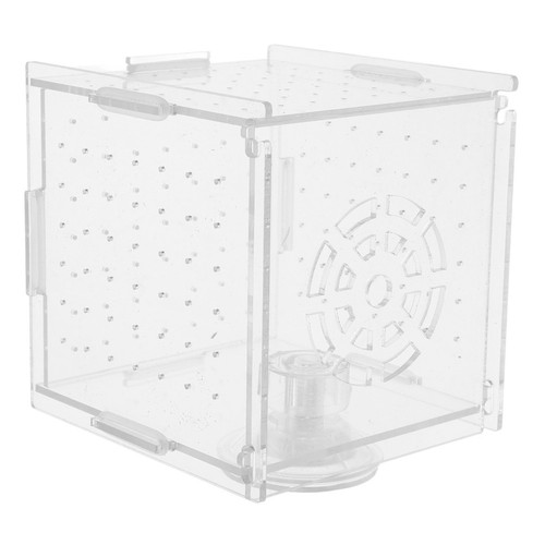 Boite elevage poisson - boite,