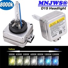 2 Ampoules D1S 35w 8000K 12V