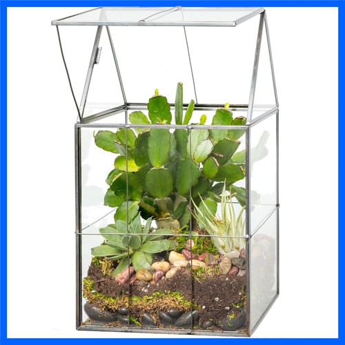 Stylish geometric terrarium - geometric,