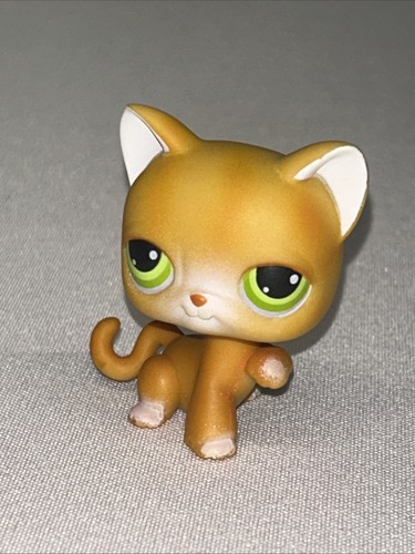 Hasbro lps original little - c2,